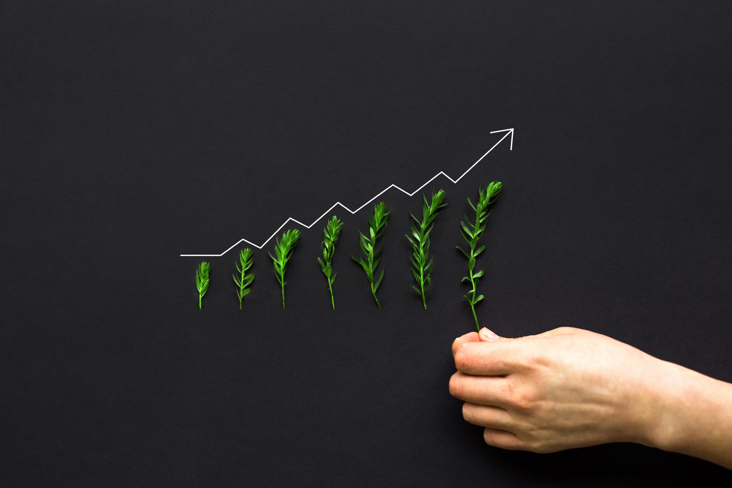5 Key Steps To Scaling Your Business For Long-Term Growth